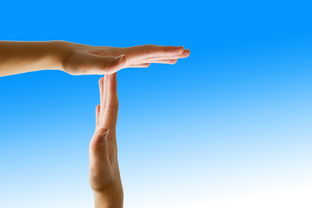 开云体育中国官方网站-外线压力下谁还能保持手感稳定 第1张 开云体育中国官方网站-外线压力下谁还能保持手感稳定 第1张